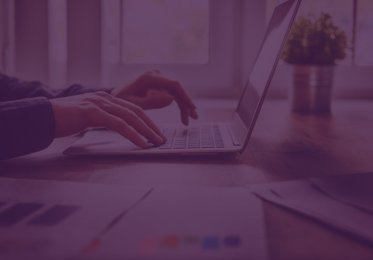 Webmarketing filtre violet